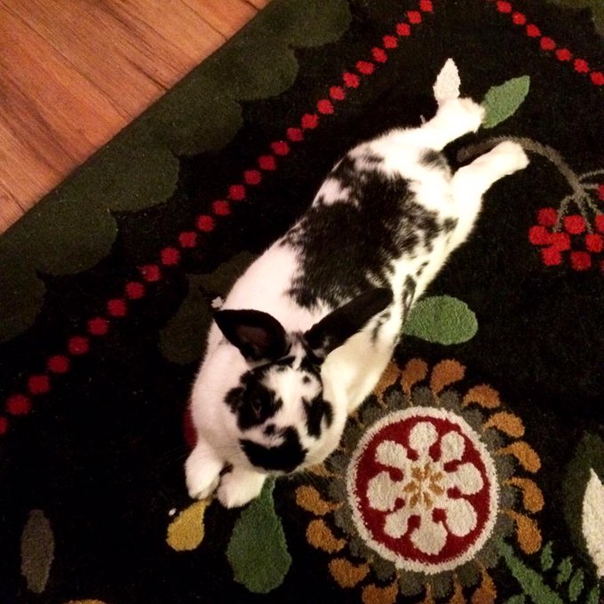 Watch theobanoth's leaked NSFW photo on TwXstars