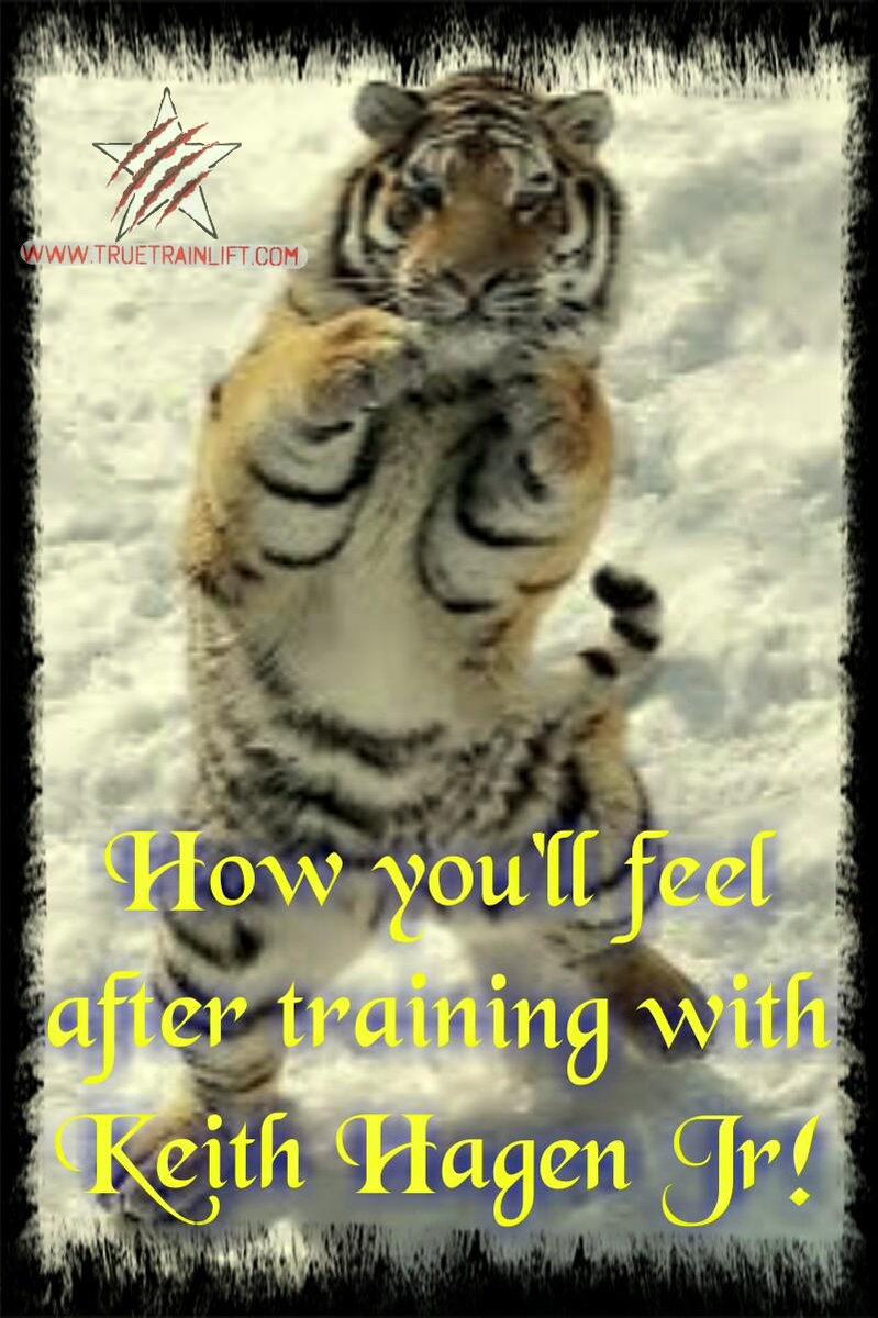 TrueTrainLift's tweet image. gopjn.com/t/S0BLRkdFQERG…