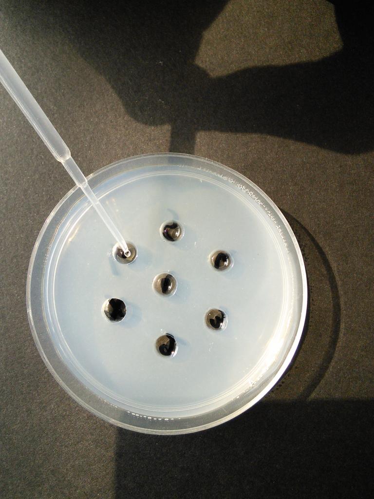 SVTSugerTab3's tweet photo. Puis enfin nous avons injecter les différents sérums dans un puits spécifique #TweeteTsvt #Ts http://t.co/ggSsbEVyno
