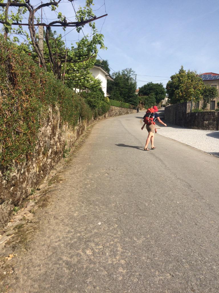 Like to walk? Camino Portuguese, do it !