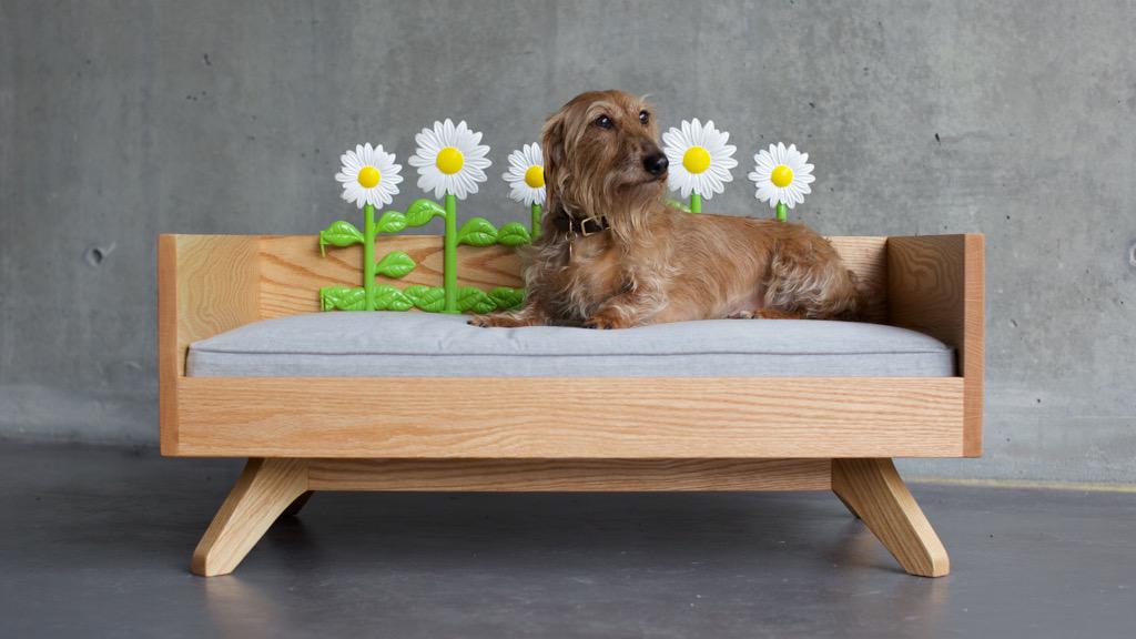 pup_and_kit's tweet photo. Spring has sprung!  #dogbed #dog #doglover #dachshund #minituredachshund #spring #design #petbed #petparent #modern http://t.co/JwRPvD605x
