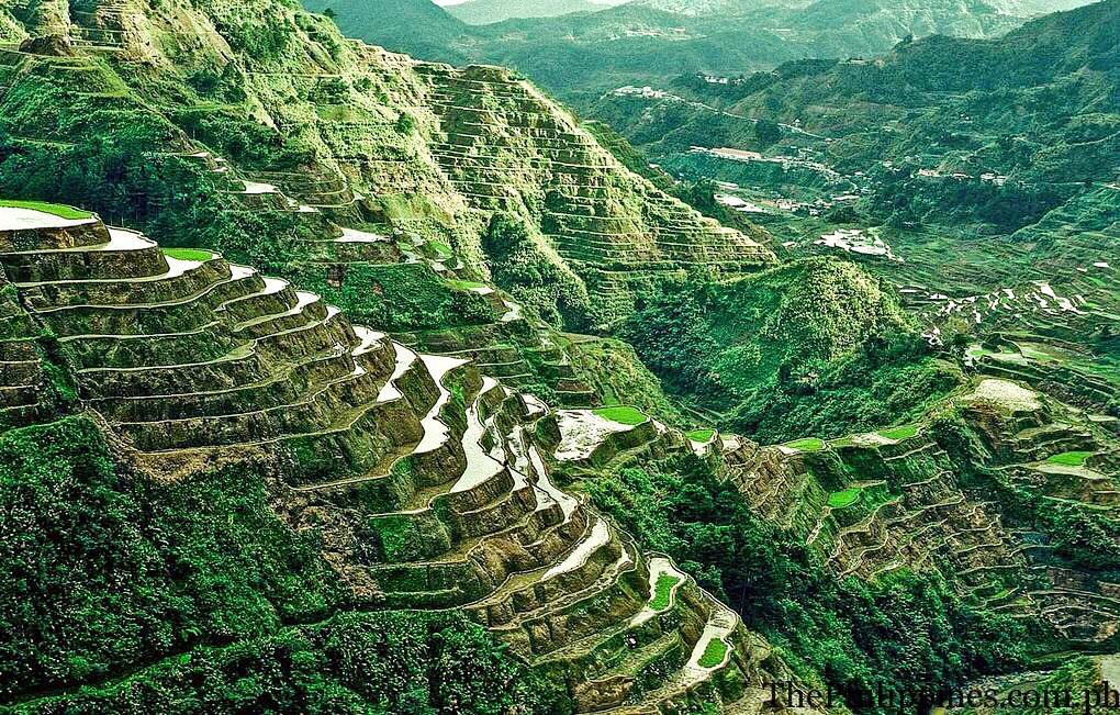 1dasph's tweet photo. banaue rice terraces (http://t.co/JX6N3oWErp) http://t.co/tybWsYeAcB