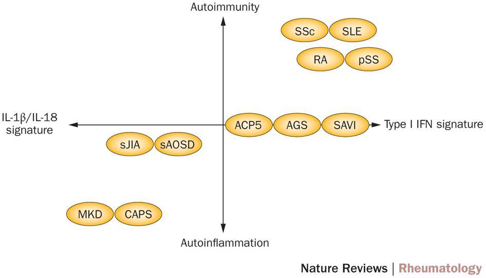 NatRevRheumatol's tweet photo. Distinguishing #autoimmunity from auto-#inflammation, new Review by Radstake and colleagues £ http://t.co/Vza5KUXT2m http://t.co/qY2JlYueEf