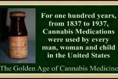 AnonSwedenOPS's tweet photo. #Cannabis #Truth #HempCreate #Hemp #facts #hempfact #420 #weed #cure #medication #Nature #legalise #plastic #Anonlife http://t.co/CZsQsIZgbB