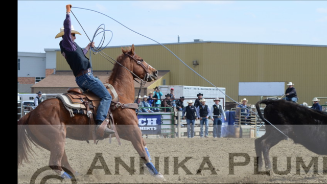 LoneStarRopes's tweet photo. Tucker White is Great Plains Region Reserve Champion Year End Heeler using #LSRopes Shark! Congrats! #TeamLSRopes http://t.co/IDS5IaykRT