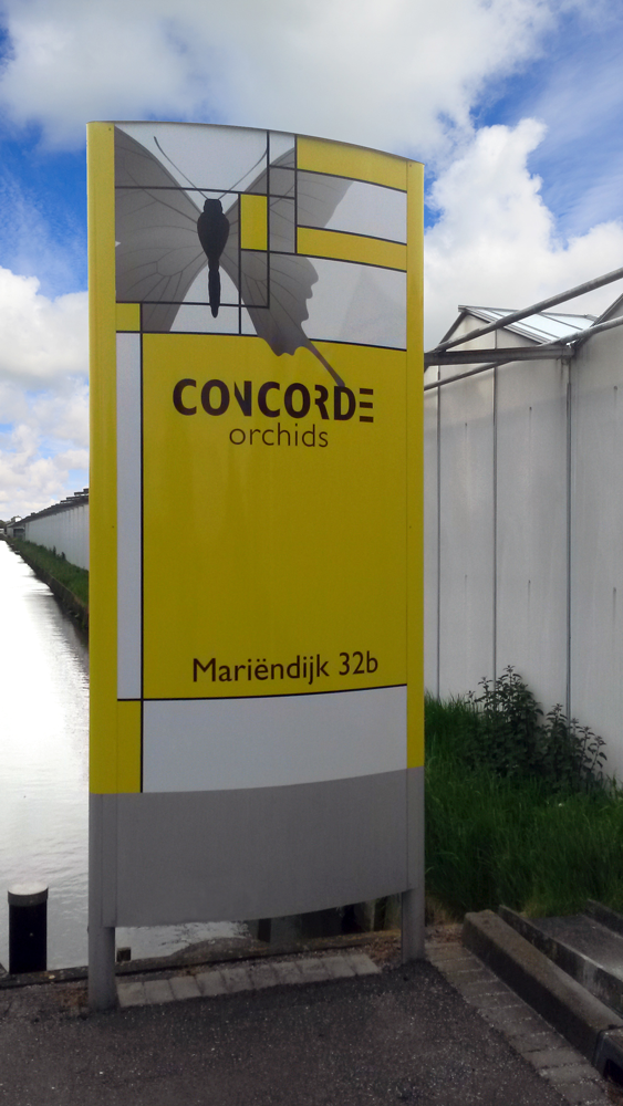 Concorde Orchids tweet media