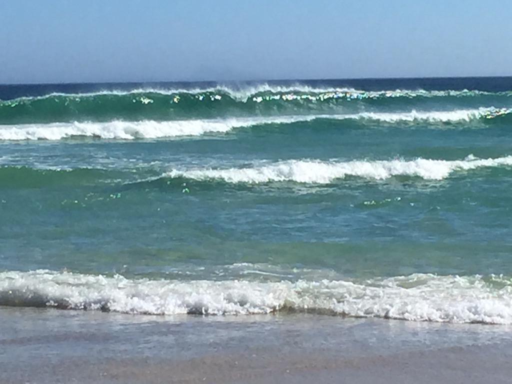 shannonlnell's tweet photo. http://t.co/Q6VuyAgTTw