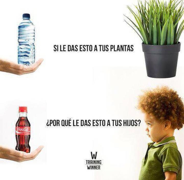 oier4b's tweet photo. Gran verdad, ¡por una vida saludable! @egapegaztegela http://t.co/wGZt5vsvHc