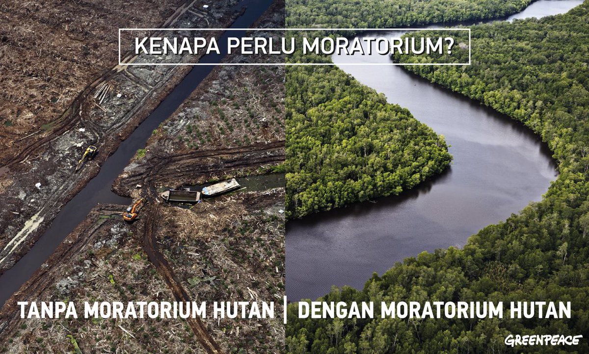 GreenpeaceID tweet picture