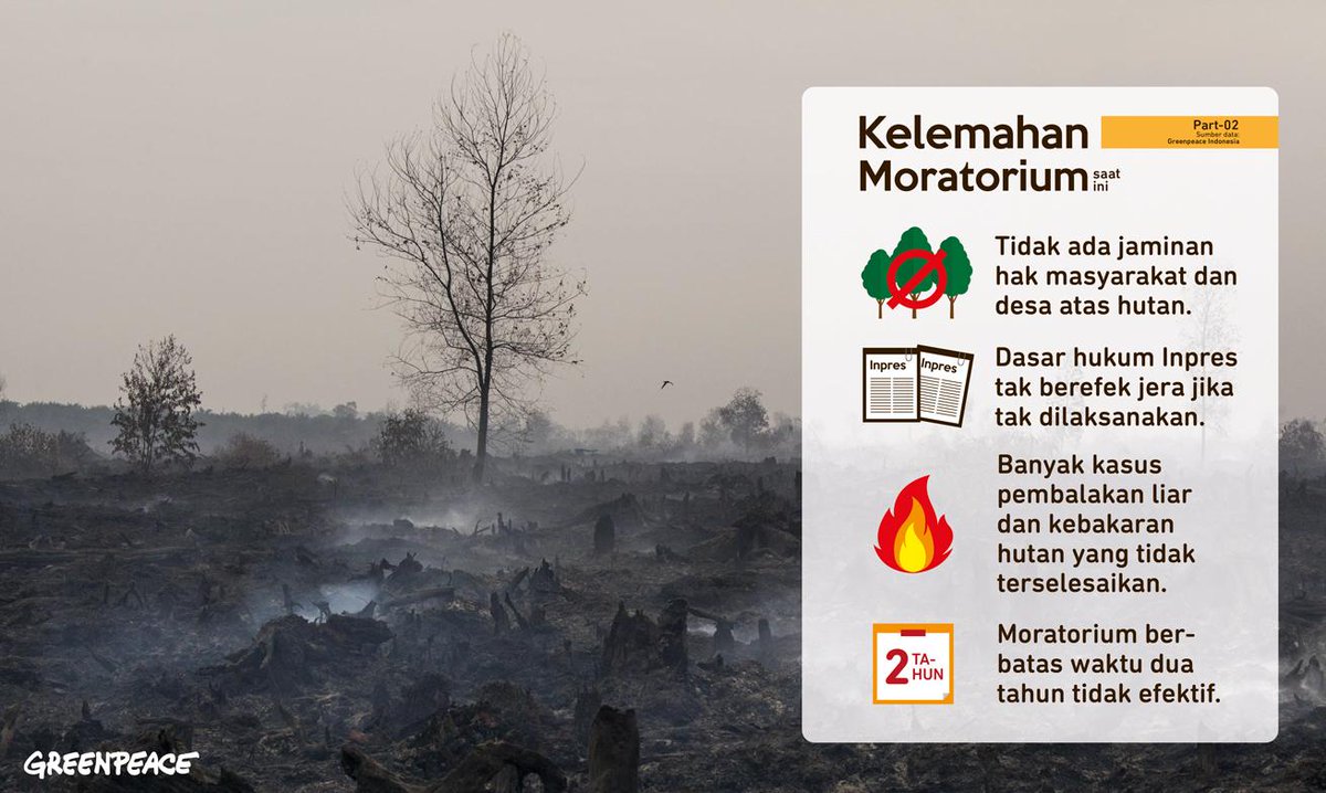 GreenpeaceID tweet picture