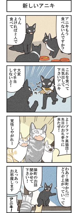 新しい私 週アスCOMIC「我々は猫である」第57回 - 週アスPLUS http://t.co/IkpG4PtAD6 