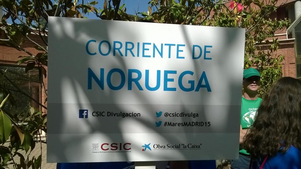 mimonmoni's tweet photo. @mimonmoni vamoooos el equipo de Noruegaaaaaa!!! http://t.co/YwVDqwhg0u