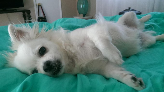 I love waking up to this in the morning http://t.co/y7t42PBwob