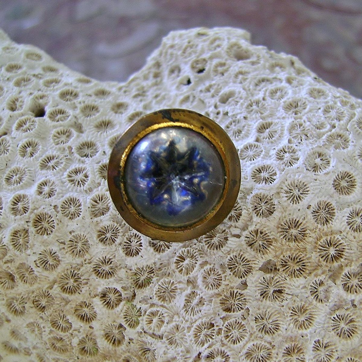 BobClough1's tweet image. Antique Button Glass Dome Reverse Painted Ingalio Brass Shank etsy.com/listing/226685… #etsygift #ButtonSewing