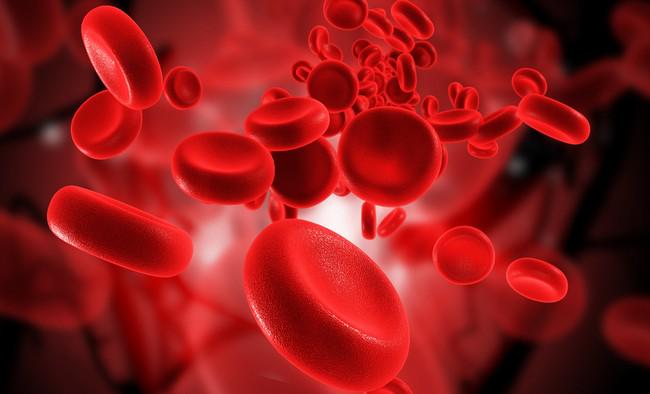Varramie's tweet photo. How do blood cells communicate as a group?

http://t.co/k6ohwI013D http://t.co/GmTXNj0n7w