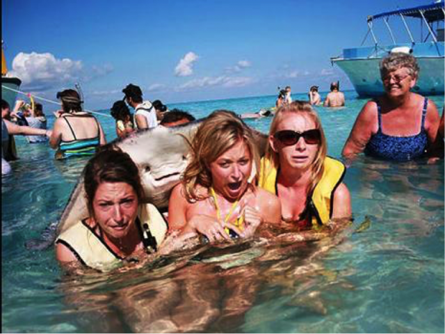 HealthBuff tweet media