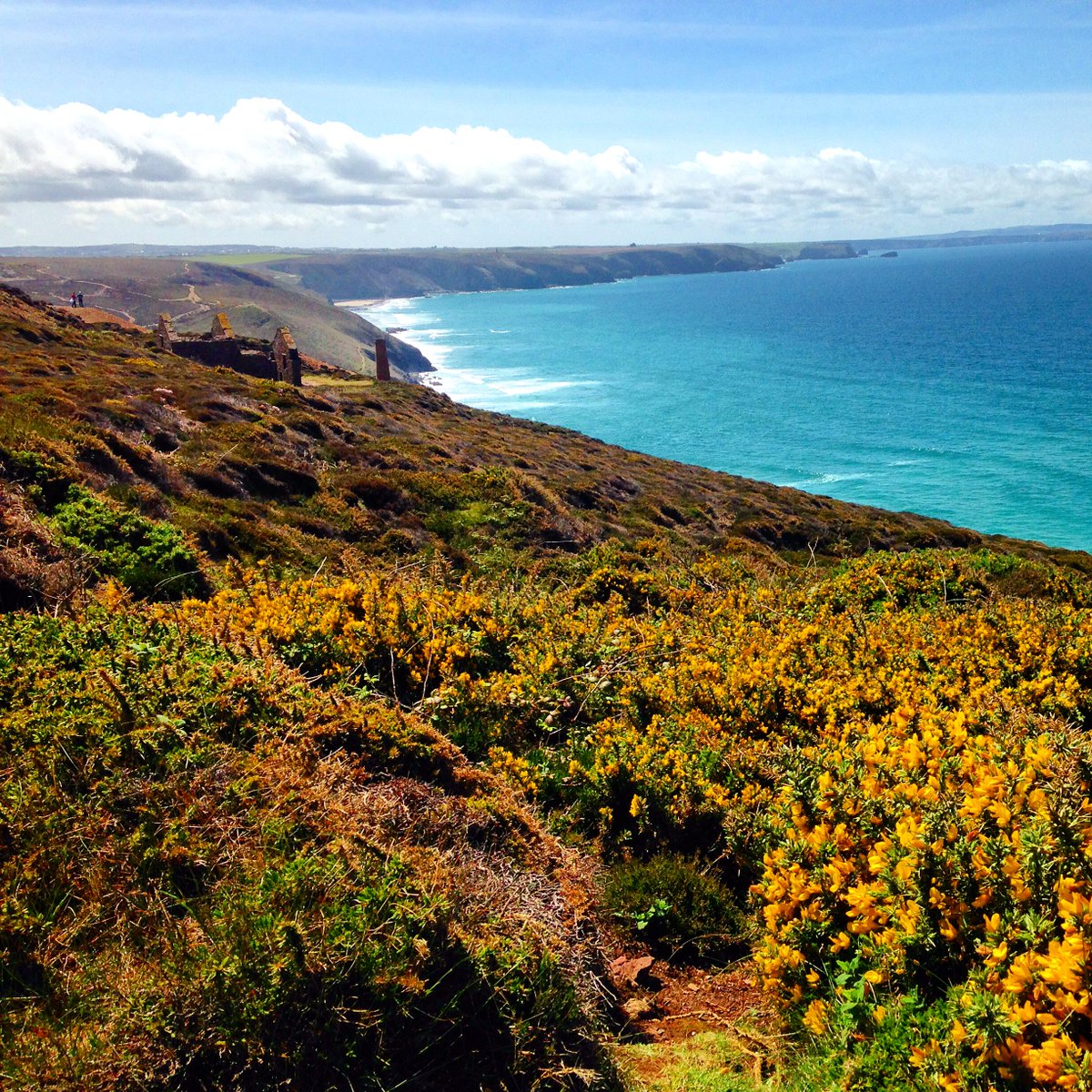 theparkcornwall's tweet photo. The north #Cornwall coast looking stunning today! #Poldark #livefromcornwall http://t.co/FYt5k6SfMc