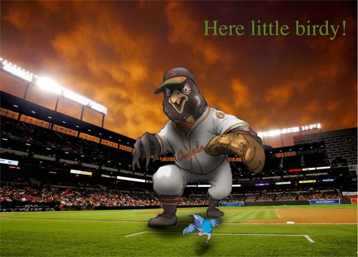 7thGypsy's tweet photo. @BY1959 Mornin Capt!!
Only one bird for B'more
#DeyAintBlue
#WelcomeBackBirds ~~ http://t.co/leSKsggFog