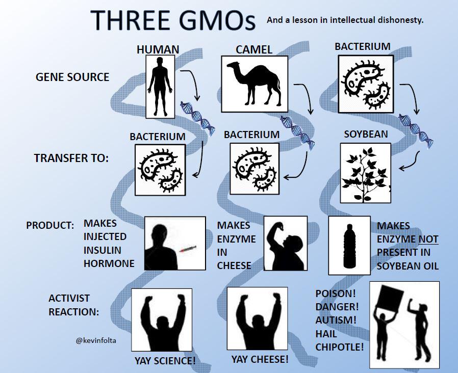 The hypocrisy of what we accept, what we don't, from recombinant DNA technology. #GMO