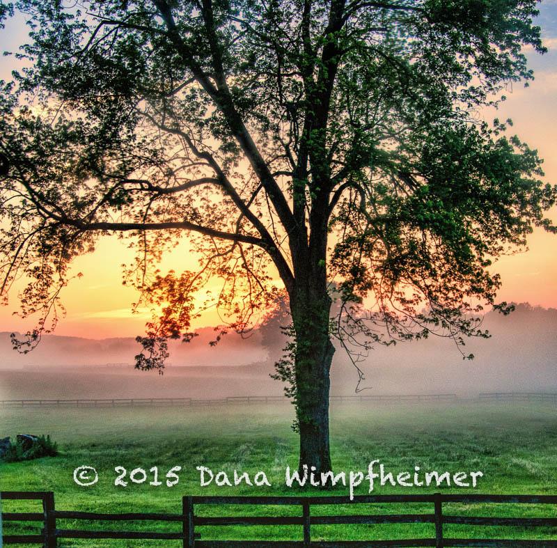 Danakbw's tweet photo. A lovely day starts in Green Spring Valley this morning.
Thanks, Carol for another great dinner with good friends!! http://t.co/ruKQAl88nQ