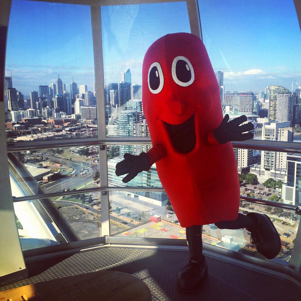 KidneyHealth's tweet photo. What a view! I'm on the #MelbourneStar... Part of my tour to help Australians #MeetYourKidneys ☺ #KHW15 #MeetBilly http://t.co/jqRf9jyf4K