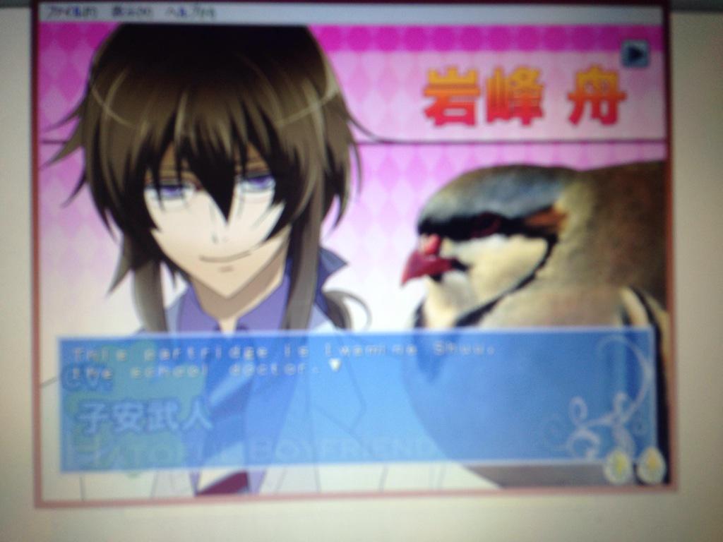 tinybagelwich's tweet photo. i do not like doctor birb. he looks so shifty. http://t.co/qDqFpAquMk