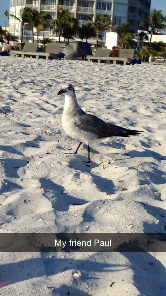 zbrandl's tweet photo. My friend Paul that I became friends with in Florida. #misshim #😟 http://t.co/M1cljO2zer