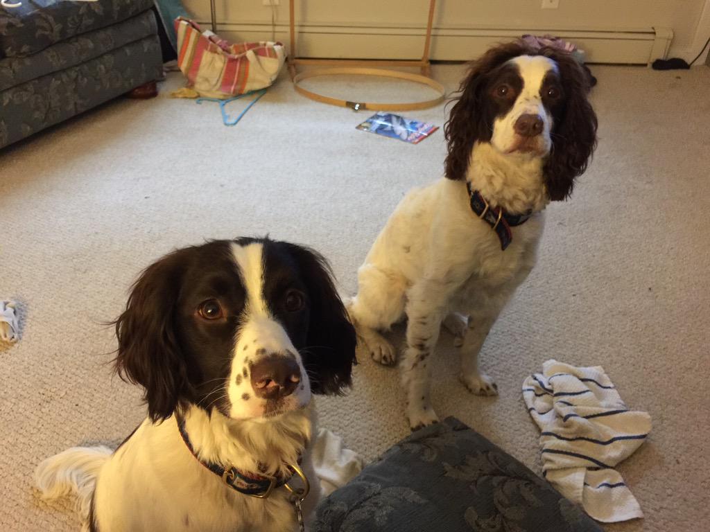 CPrincing's tweet image. #catchcrew