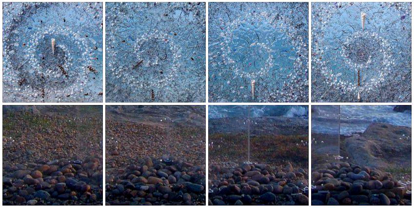 CompuCeeds's tweet image. Currently designing a portfolio of my art work for the See Me #EXPOSURE #Photography Award. allyinspirit.see.me/exposure2015