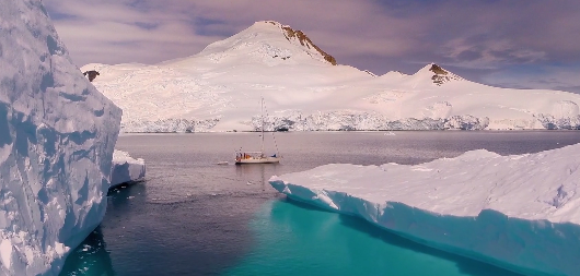 день антарктики. антарктика / antarctica (2008 2008. антарктический пингвин. полярный день в антарктиде. северный полюс арктика и антарктика.