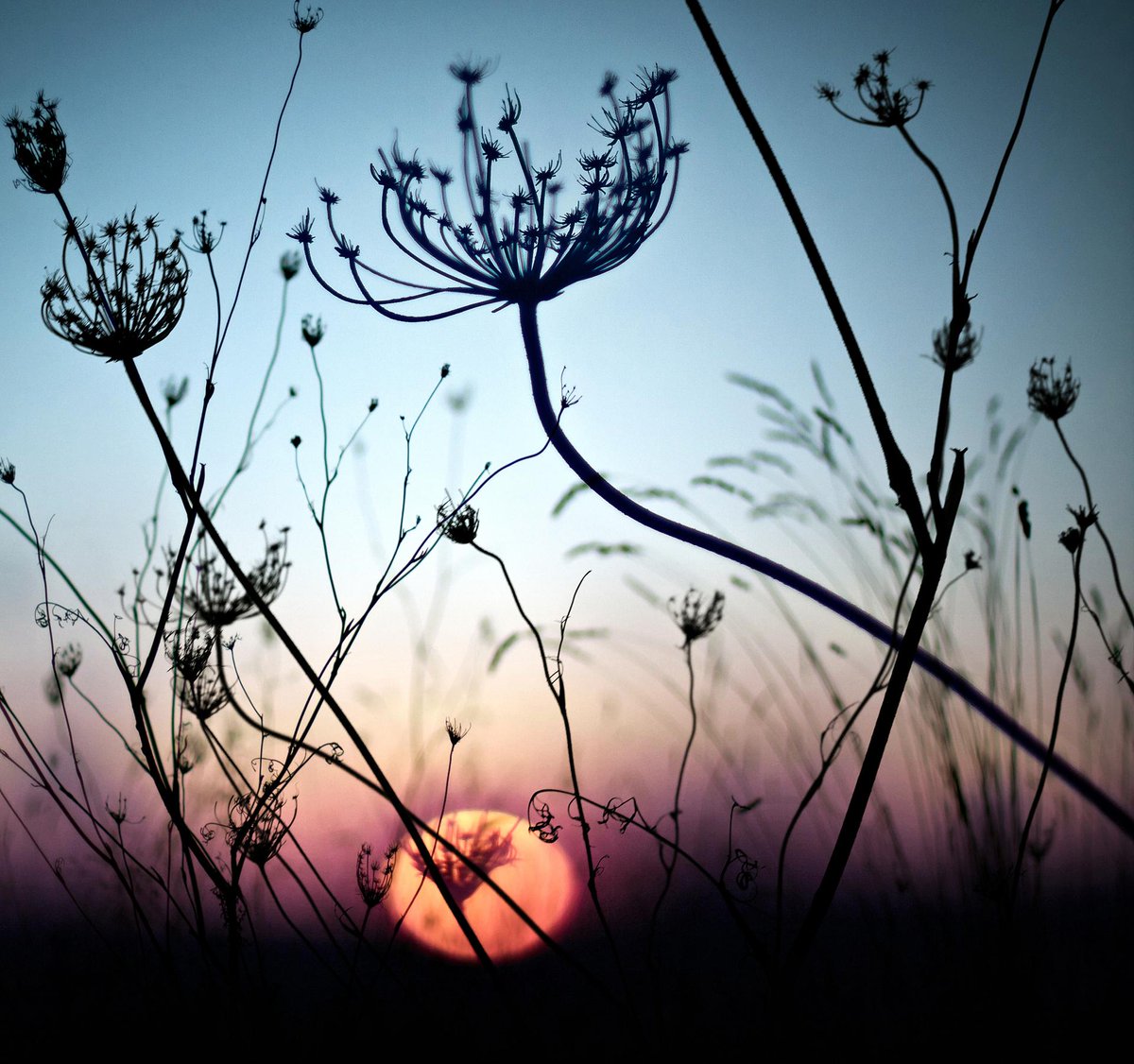 weightlessMD's tweet image. How a Thin Model Will Kill Your Weight Loss Chances #weightloss
buff.ly/1F71gCC