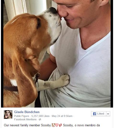 Patriots's tweet photo. Puppies, proposals and pop stars: How Patriots players spent Memorial Day weekend: http://t.co/1VpNwILzsW http://t.co/XKVQ1biapn