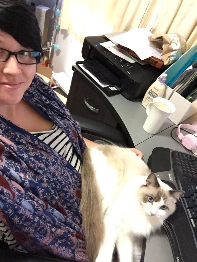 AliciaWanstallB's tweet image. #writingmate #amwriting #BloodofHeirs #tiberius #ragdoll