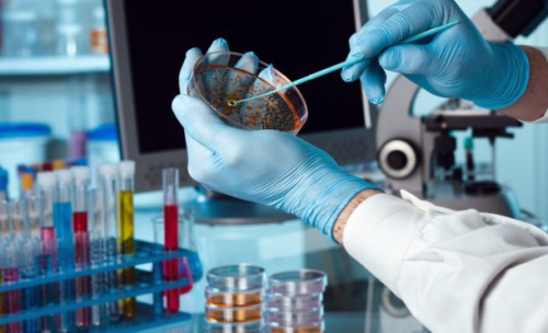BIOTECH_SI's tweet photo. Superbiotecnología: algunas de las aplicaciones más impresionantes de la ciencia http://t.co/NlWsQFCqu1 http://t.co/aZJuNi9KYT