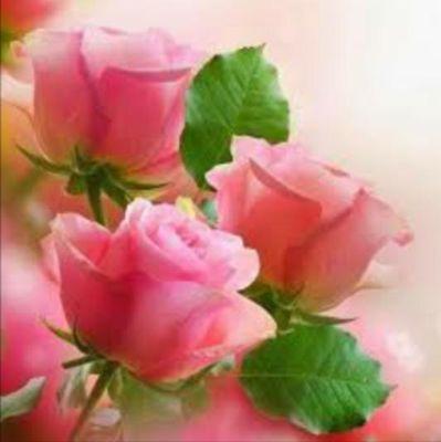ullah111 tweet picture