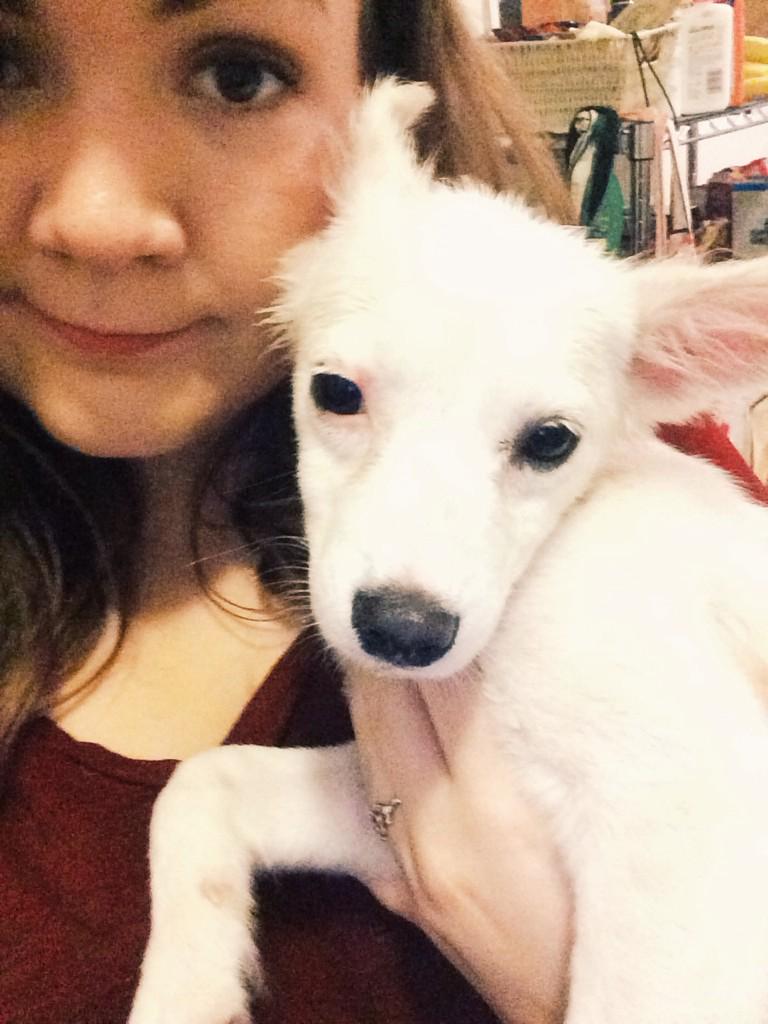 bexbungz's tweet photo. Fuck finals I got a puppy http://t.co/dnhcNwu53b