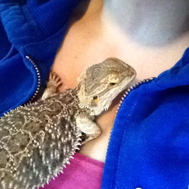 beccahart2012's tweet photo. So I'm a new #dragonmommy lol #missGrace🐉🐉🐉 #loveher!! http://t.co/Q8T6ZIezot