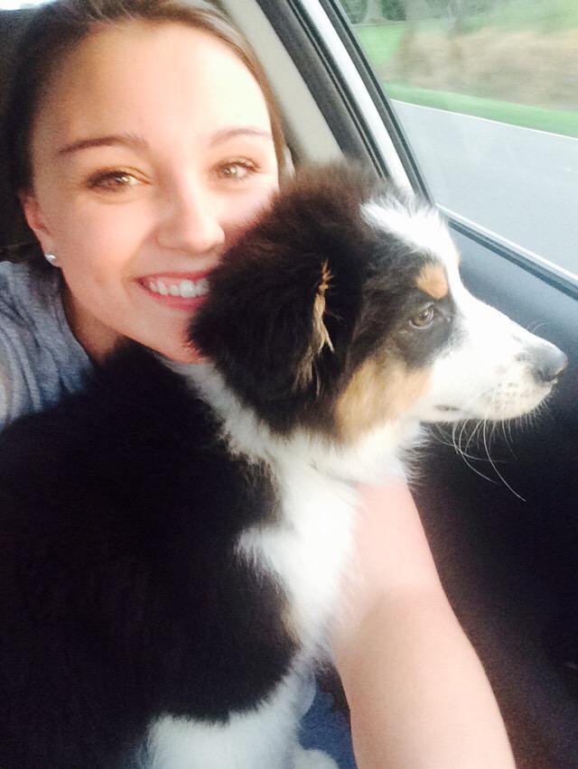 itsmekatelynw's tweet photo. tex baby thinks he's a lap dog #aussie #bestfriendsdog #auntkate http://t.co/hQhIpkwDj0