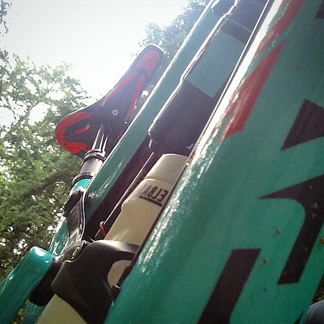 AgnesBellamy's tweet image. The bottom looking up. Promise I didn't crash mom! #creativeangles #MTB #Enduro #RideBikes… bit.ly/1SbQ6qd