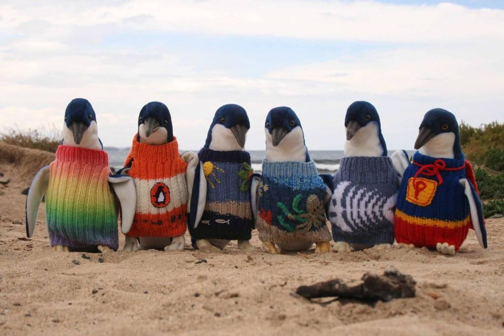 PicsFactory's tweet image. Best job in the world. Knitting sweaters for penguins.