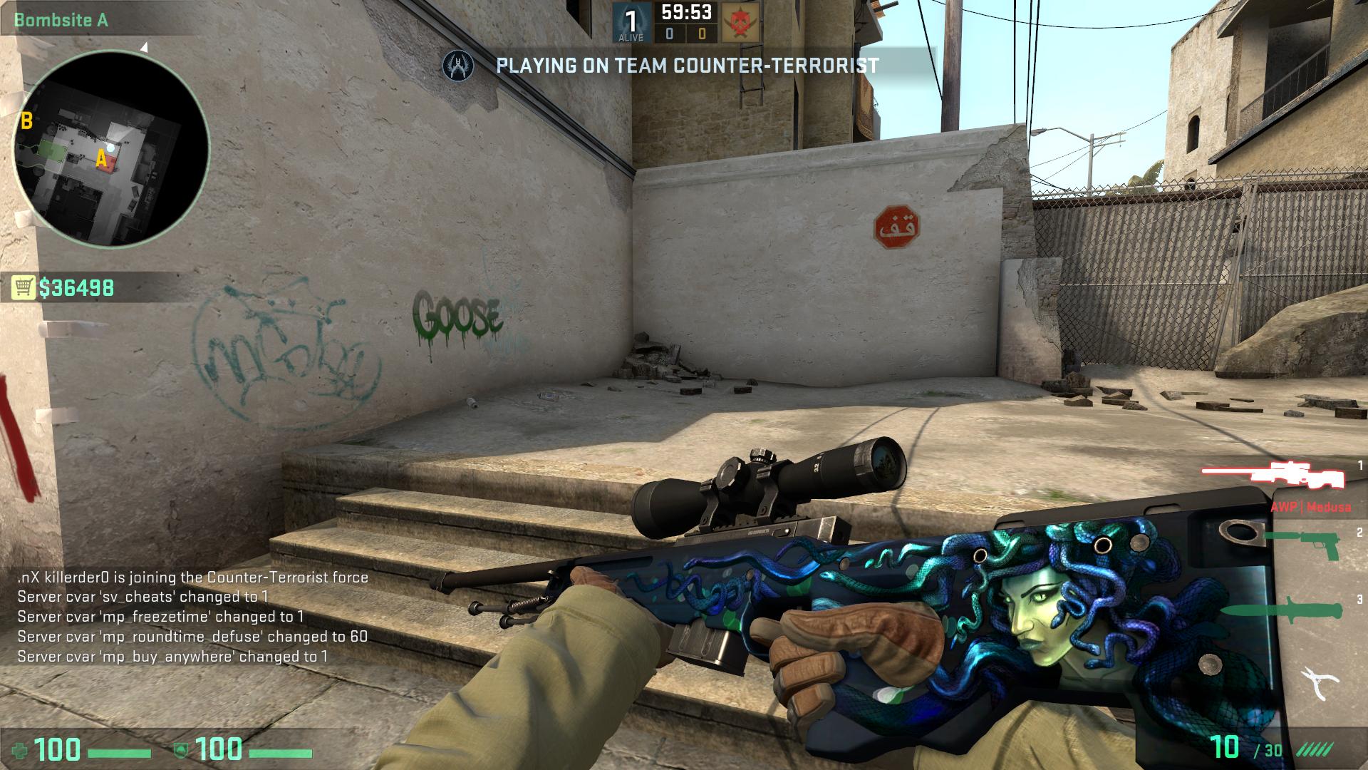 Awp medusa well worn фото 80