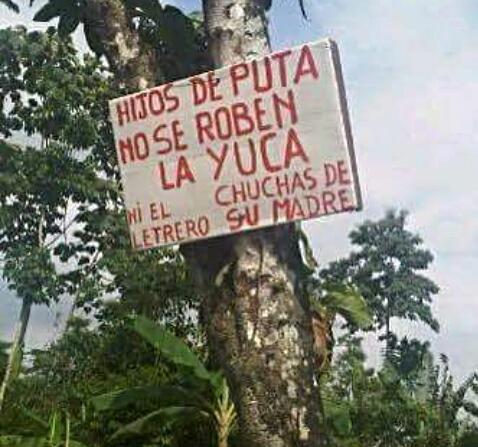 alejishu's tweet photo. Jajajaja http://t.co/uQYAiCthLW
