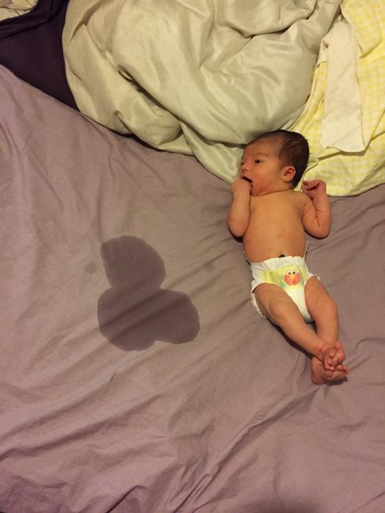 milfmoneey's tweet photo. He peed the shape of a penis on my bed. http://t.co/x0f2PZyAMH
