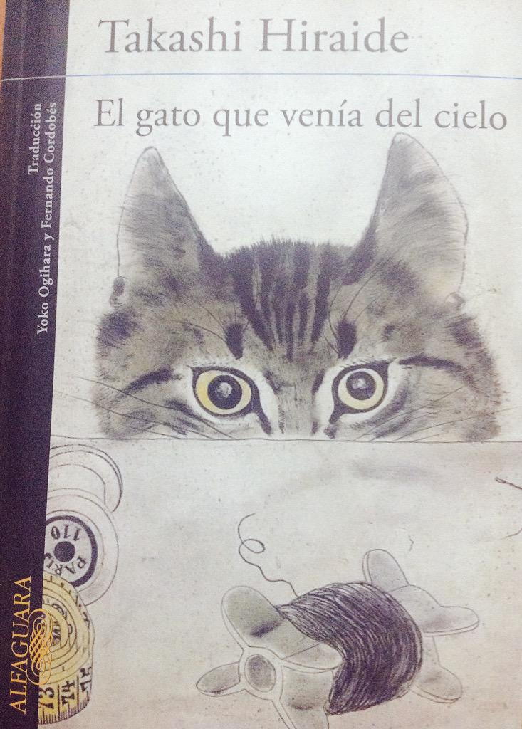 .diego.O' 🕊️ tweet media