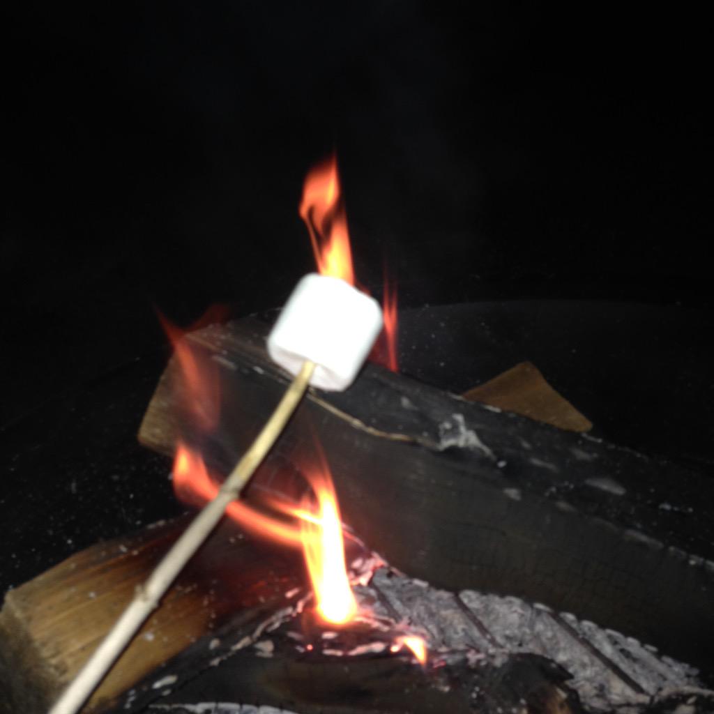 SydelleStew's tweet image. The chemistry behind a good s'more...
#welcomebacksummer