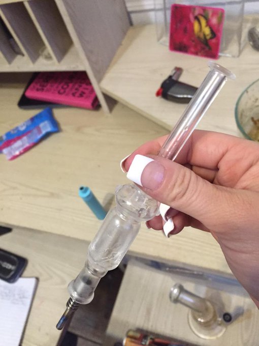 Nectar collector http://t.co/55ck9R9OxN