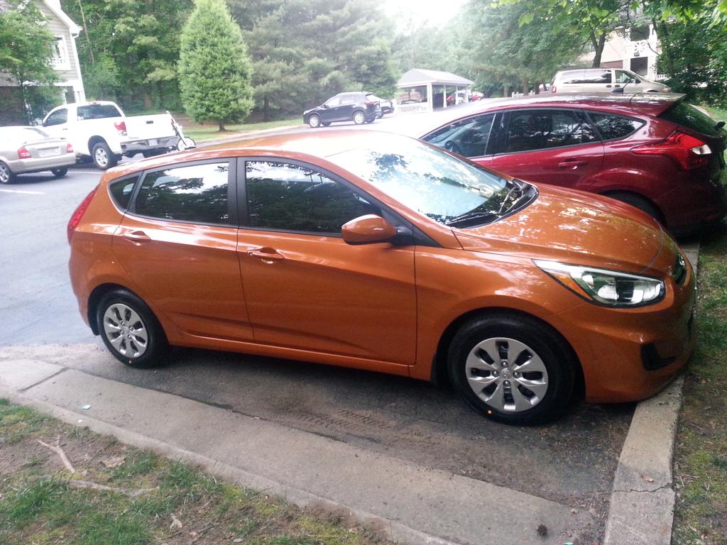 Wolf1388's tweet photo. introducing Cici...isn` t she sexy http://t.co/F5REybZuAS