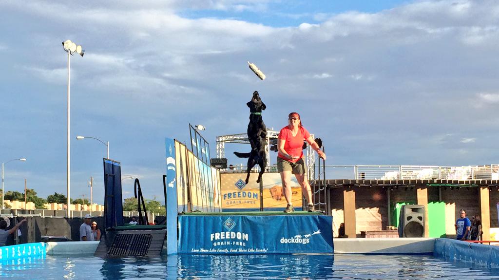 PBR's tweet photo. The @DockDogs have been putting on a show at the @MonsterEnergy Cowboy Festival all weekend! #CowboySpringBreak http://t.co/t4cOBcXZxk