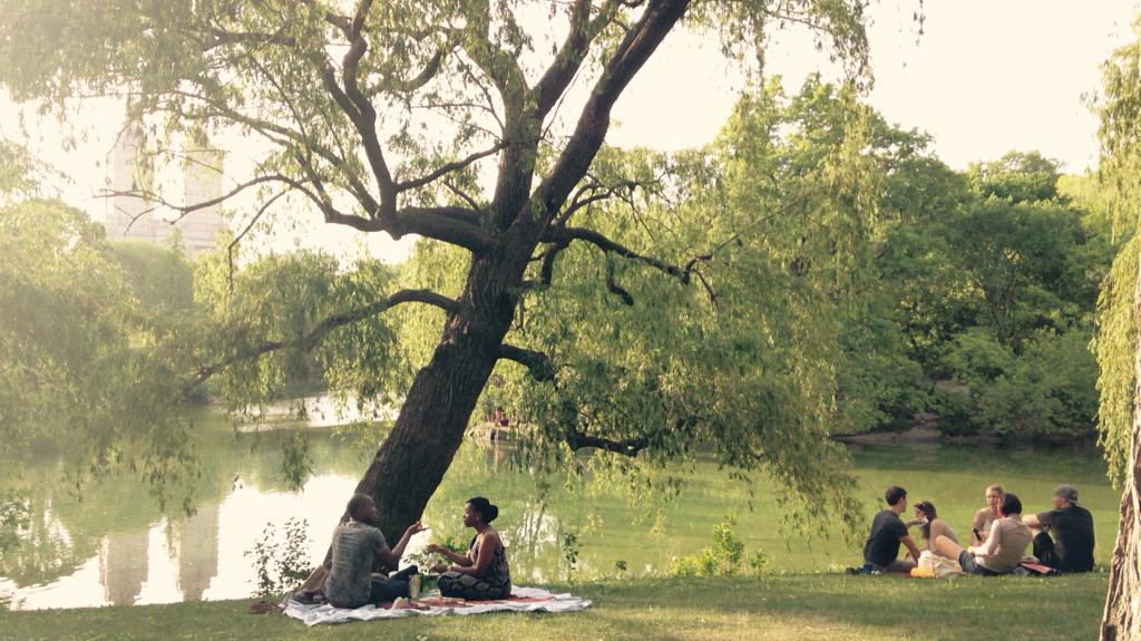 SoundlessBloom's tweet image. °   아침이면 칼 슈르츠 파크를 산책한다. 오후에는 걸어서 20분 거리인 메트로폴리탄 뮤지엄에 머물다 센트럴파크에서 시간을 보낸다. 느리고 고요한 나날. 당분간은 마음 소요도 불온함도 나의 일이 아니다.