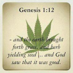 TheTreeOfLife3 tweet picture